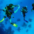 Essential Safety Equipment for Scuba Diving