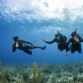 10 Essential Safety Rules for Scuba Diving