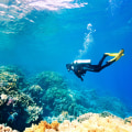 How Much Does it Cost to Go Scuba Diving? An Expert's Guide