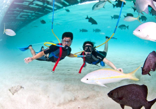 Do You Need a License to Scuba Dive in Florida?