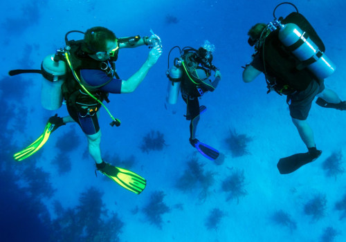 What is the Most Essential Piece of Equipment for Scuba Diving?