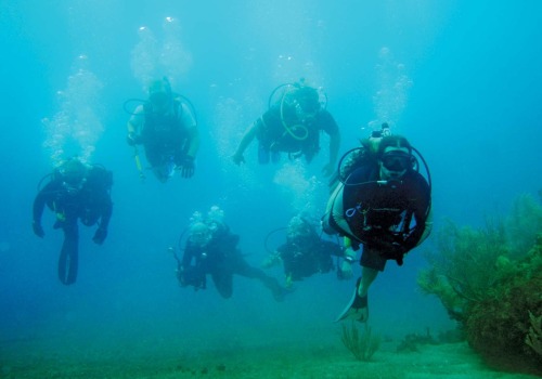 Avoiding Dangerous Marine Life When Scuba Diving in the UK