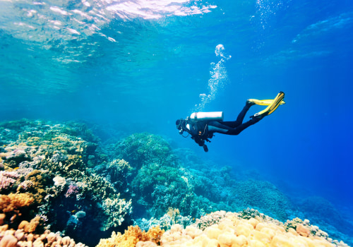 How Much Does it Cost to Go Scuba Diving? An Expert's Guide